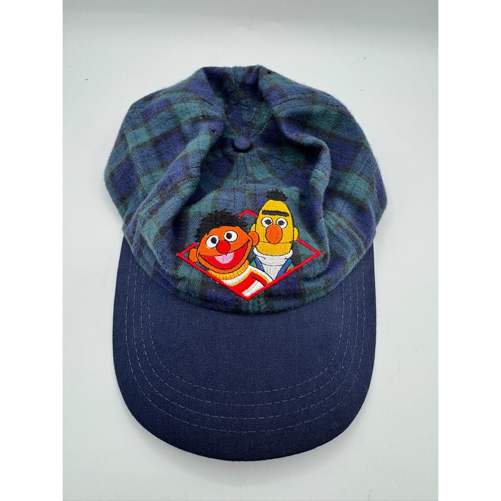 Vintage Sesame Street Bert and Ernie Plaid Snapback Hat Made in USA Blue Green